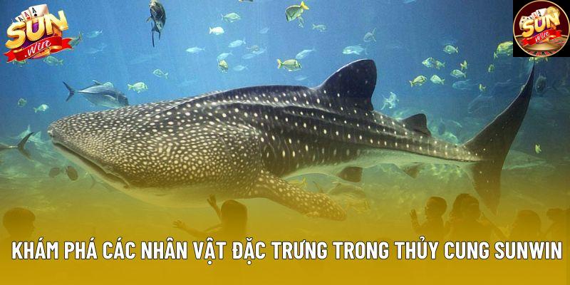 Khám phá các nhân vật đặc trưng trong Thủy Cung Sunwin Khám phá các nhân vật đặc trưng trong Thủy Cung Sunwin