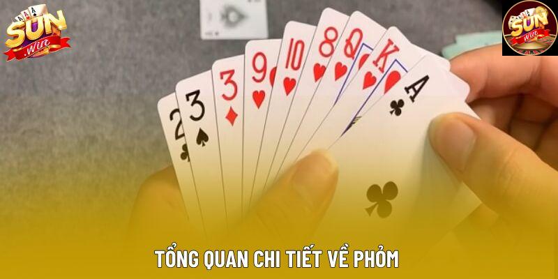 Tổng quan chi tiết về phỏm